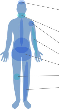 部位別の解決事例