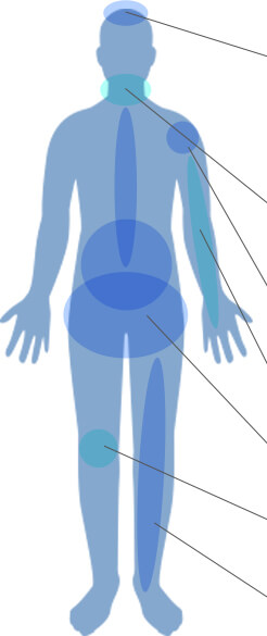 部位別の解決事例